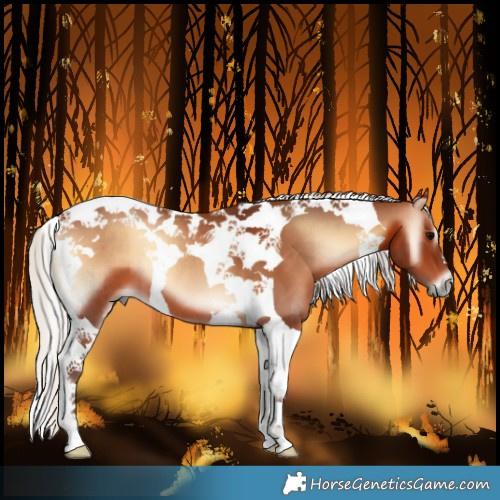Horse Color:Silver Brown Onyx Tobiano 