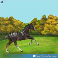 Horse Color:Powder White Liver Chestnut 