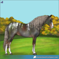 Horse Color:Powder White Liver Chestnut 