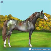 Horse Color:Powder White Liver Chestnut 
