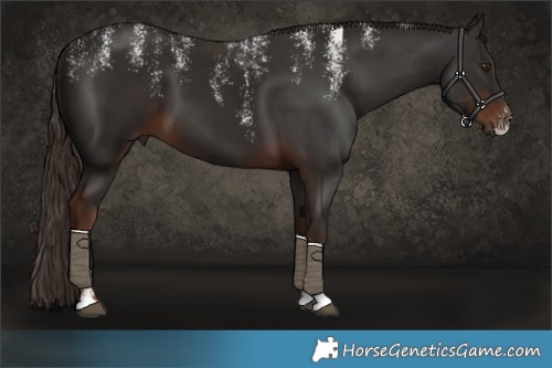 Horse Color:Powder White Liver Chestnut 