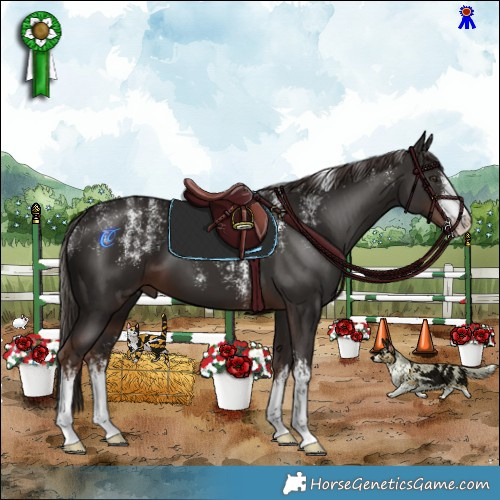 Horse Color:Powder White White Spotted Liver Chestnut 