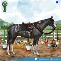 Horse Color:Powder White White Spotted Liver Chestnut 