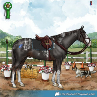 Horse Color:Powder White White Spotted Liver Chestnut 