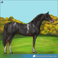 Horse Color:Powder White Liver Chestnut 