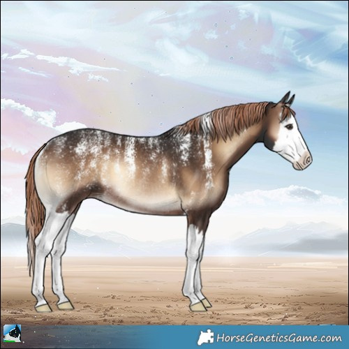 Horse Color:Powder White Liver Red Onyx Sabino Splash Rabicano 
