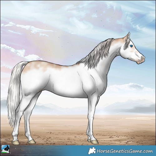 Horse Color:Powder White Silver Sable Champagne Dun Sabino Splash Frame Rabicano 