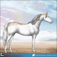 Horse Color:Powder White Silver Sable Champagne Dun Sabino Splash Frame Rabicano 