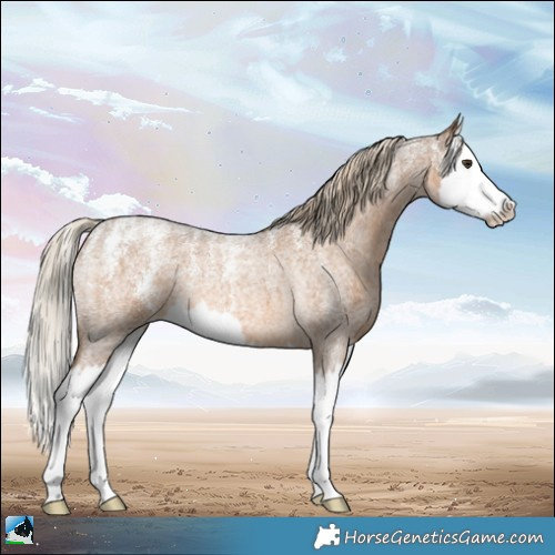 Horse Color:Powder White Chocolate Palomino Roan Splash 