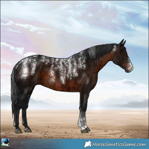 Horse Color:Powder White Brown Ice Sabino Rabicano 