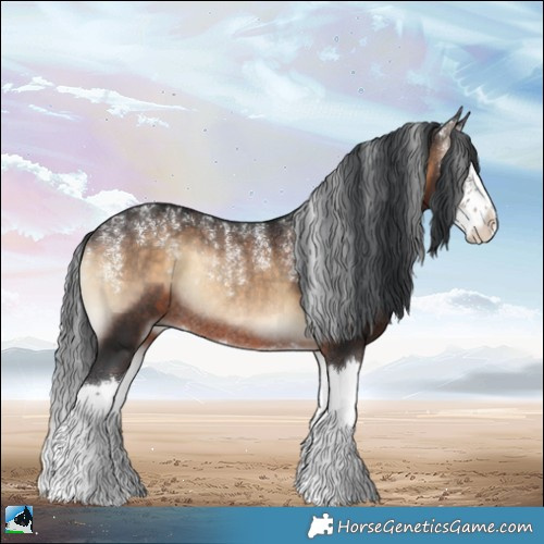 Horse Color:Powder White Brown Onyx Sabino Splash Rabicano