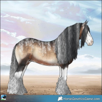 Horse Color:Powder White Brown Onyx Sabino Splash Rabicano