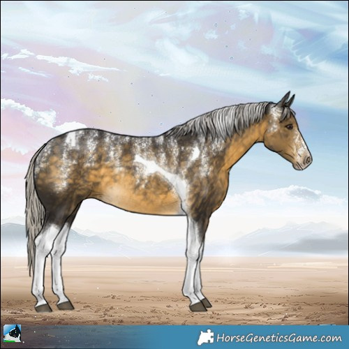 Horse Color:Powder White Silver Buckskin Tobiano Rabicano