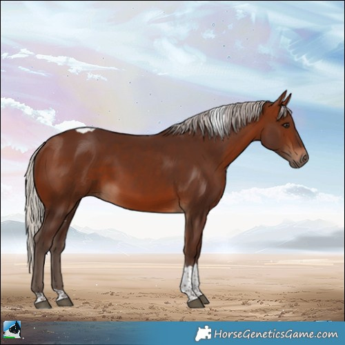 Horse Color:Silver Bay Tobiano Rabicano