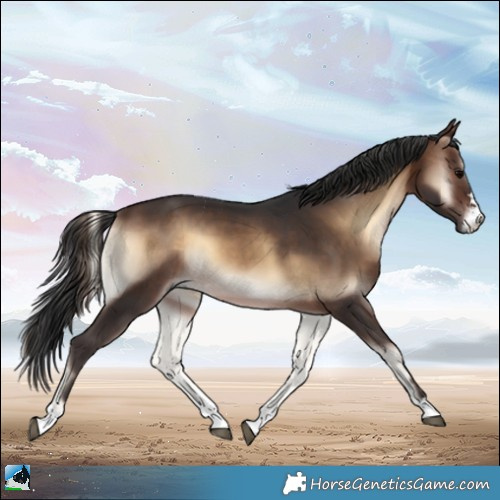 Horse Color:Brown Onyx
