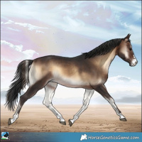 Horse Color:Brown Onyx