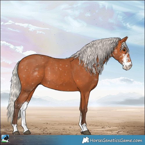 Horse Color:Silver Bay Sabino