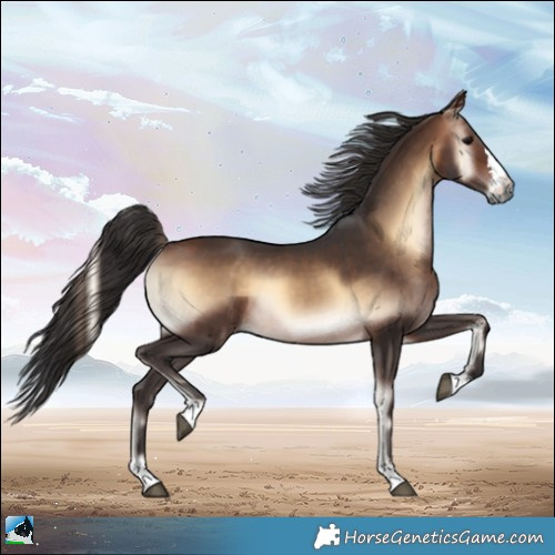 Horse Color:Brown Onyx