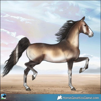 Horse Color:Brown Onyx 