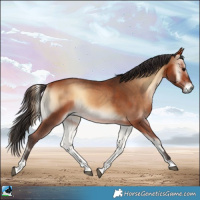 Horse Color:Bay Onyx 