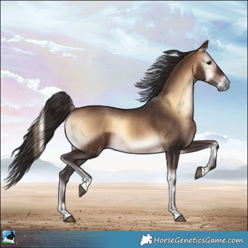 Horse Color:Bay Onyx 