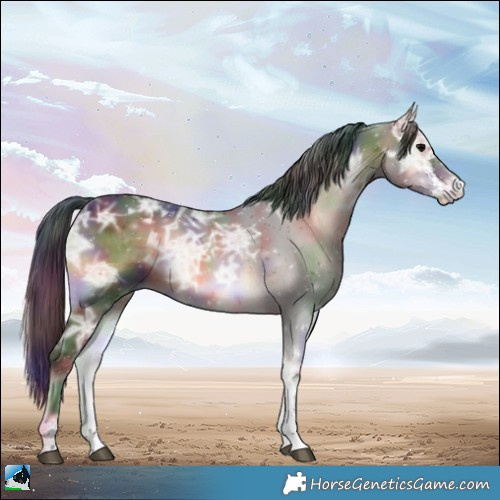 Horse Color:Nacre Bay Ice Onyx Sabino