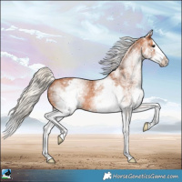 Horse Color:White Spotted Silver Bay Splash 