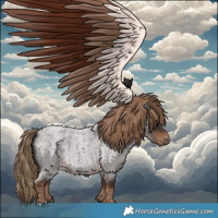 Horse Color:Liver Red Roan