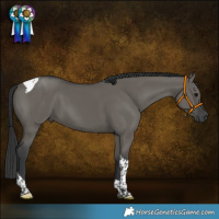 Horse Color:Grullo Tobiano 