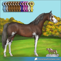 Horse Color:Liver Chestnut Mushroom Sabino 