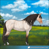 Horse Color:Bay Roan Dun Splash 