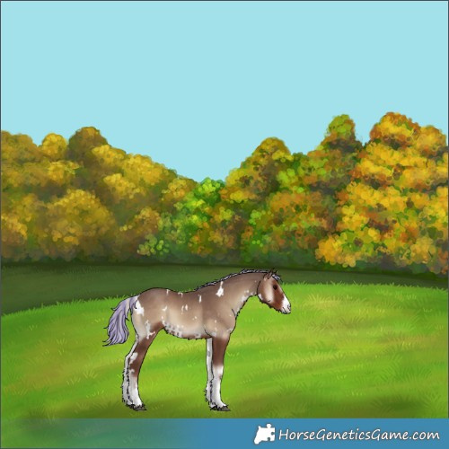 Horse Color:Painted White Spotted Silver Blue Onyx 