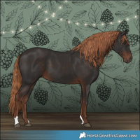 Horse Color:Liver Chestnut 