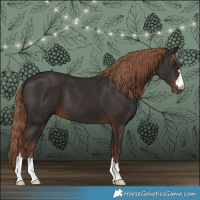 Horse Color:Liver Chestnut 