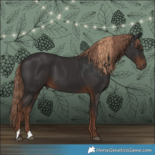 Horse Color:Liver Chestnut  and Liver Chestnut 
