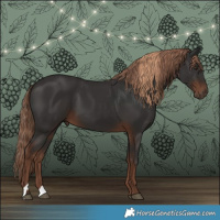 Horse Color:Liver Chestnut  and Liver Chestnut 