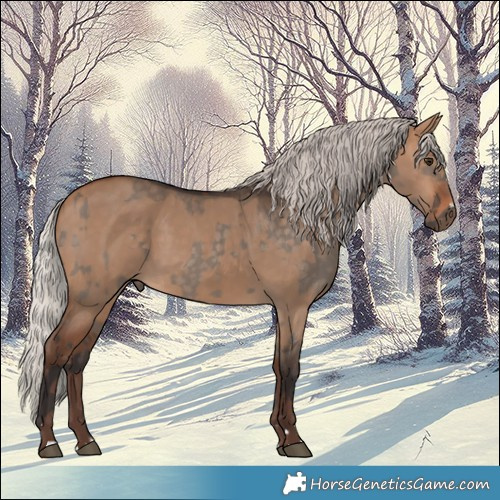 Horse Color:Silver Brown Dun  and Silver Brown Dun 