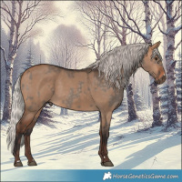 Horse Color:Silver Brown Dun and Silver Brown Dun