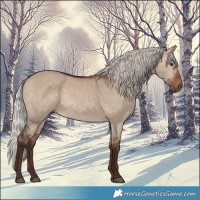 Horse Color:Silver Brown Dun 
