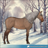 Horse Color:Silver Brown Dun 