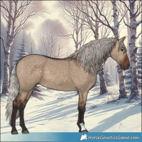Horse Color:Silver Brown Dun