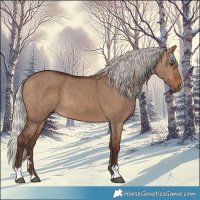 Horse Color:Silver Brown Dun and Silver Brown Dun