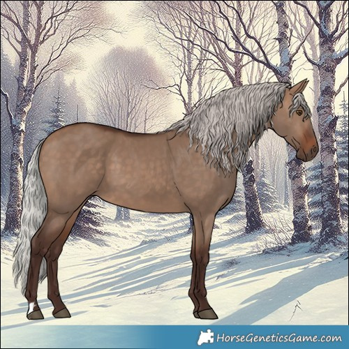 Horse Color:Silver Brown Dun 