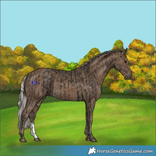Horse Color:Smoky Black and Silver Smoky Black