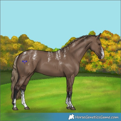 Horse Color:Powder White Liver Red Dun 