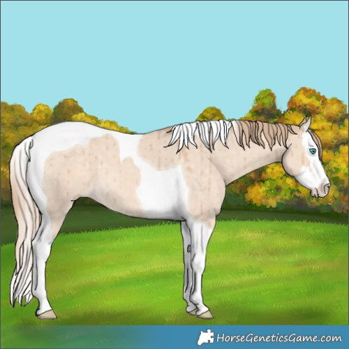 Horse Color:Chocolate Perlino Dun Splash Tobiano Brindle 