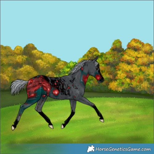 Horse Color:ERROR: UNKNOWN ANOMALY