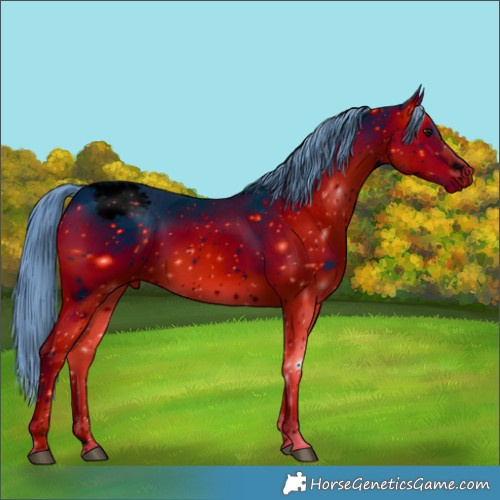 Horse Color:ERROR: UNKNOWN ANOMALY