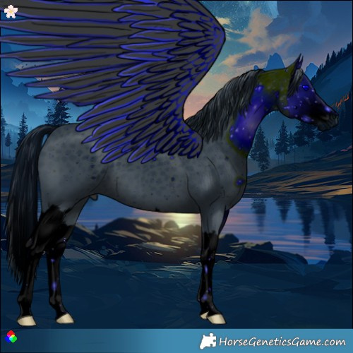 Horse Color:ERROR: UNKNOWN ANOMALY