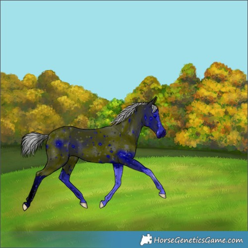 Horse Color:ERROR: UNKNOWN ANOMALY